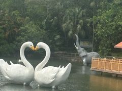 -深圳野生动物园