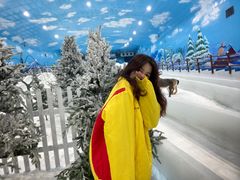 -世界之窗阿尔卑斯冰雪世界