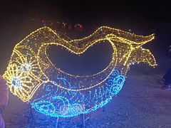 -青龙湖公园
