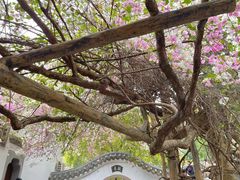 -深圳国际园林花卉博览园