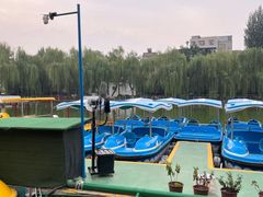 -莲湖公园