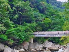 -炎陵县神农谷国家森林公园