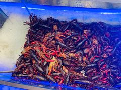 -集品鲜湾·蒸汽海鲜自助料理(青岛银座和谐广场店)
