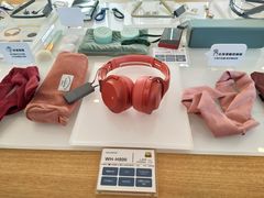 -Sony Store索尼(广州正佳店)
