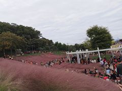 -牛岗山公园