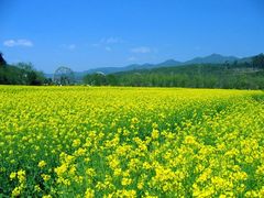 -温州永嘉书院