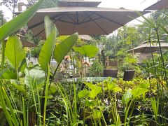 -丫口花园餐厅·融合菜