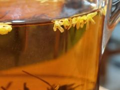 -壹笑茶庄