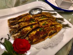 金枪鱼-海景壹号大酒店(滨湖店)