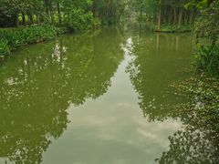 -中国湿地博物馆
