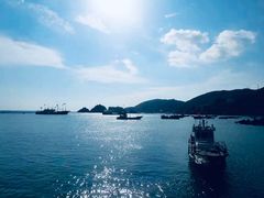 -枸杞岛
