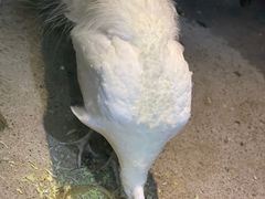 -苏州海洋馆
