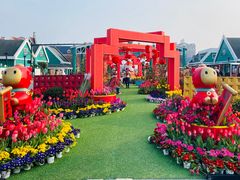 -荷兰花海