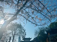 -鸡鸣寺
