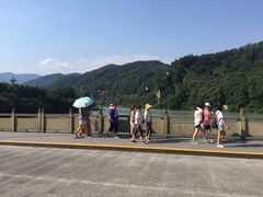 景点-成都大熊猫繁育研究基地