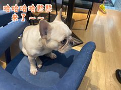 -Meowの猫咖(万家丽店)