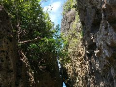 -鹅銮鼻公园