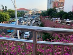 -厦门悦华酒店·绿庭主题自助餐厅