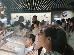 -四川大学博物馆