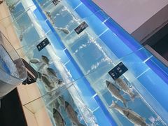 -眉州东坡(博雅店)