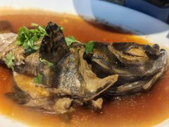 -阿里郎海鲜酒店