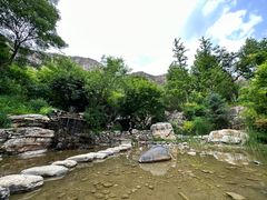 -幽岚山·童话森林