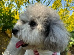 -宠颐生宠物医院·心肾内科·猫专科诊疗中心宠巢店