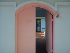 -ZING鲸鱼啤酒(葡萄院店)