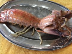 -蚝专家(北滘店)