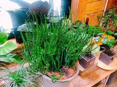 店内环境-有光花园