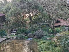-中国茶叶博物馆(双峰馆区)