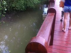 -东寨港红树林旅游区