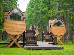 -黄海国家森林公园