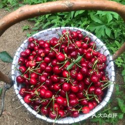 御丰采摘园西园
