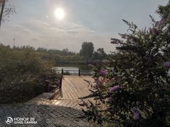 -东郊湿地公园