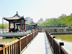 -莲花池公园