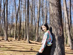 -硗碛藏寨·神木垒景区