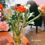 养生下午茶燕窝甜品，来做个养生小仙女吧！