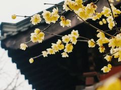 -钱王祠