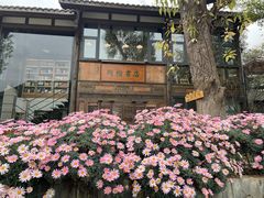 -莫催咖啡