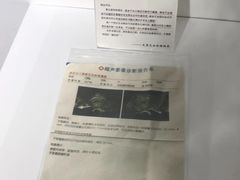 -成都失恋馆