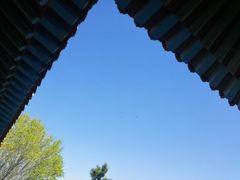 -兰山公园