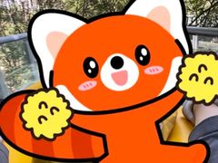 -峙山公园