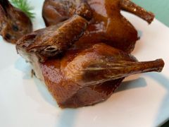 金牌乳鸽-熙瓏里(万科店)