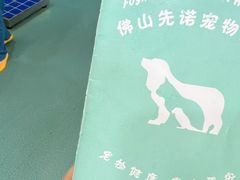 -瑞派先诺宠物医院•猫专科•普外科•中兽医(佛山院)