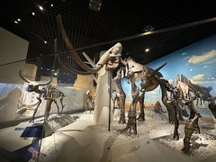 -国家自然博物馆