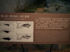 -北京周口店北京人遗址博物馆