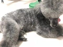 -美联众合24小时·皮肤科·外科·全科诊疗中心(华苑分院)