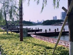 -晓港公园