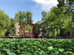 -四川大学(望江校区)